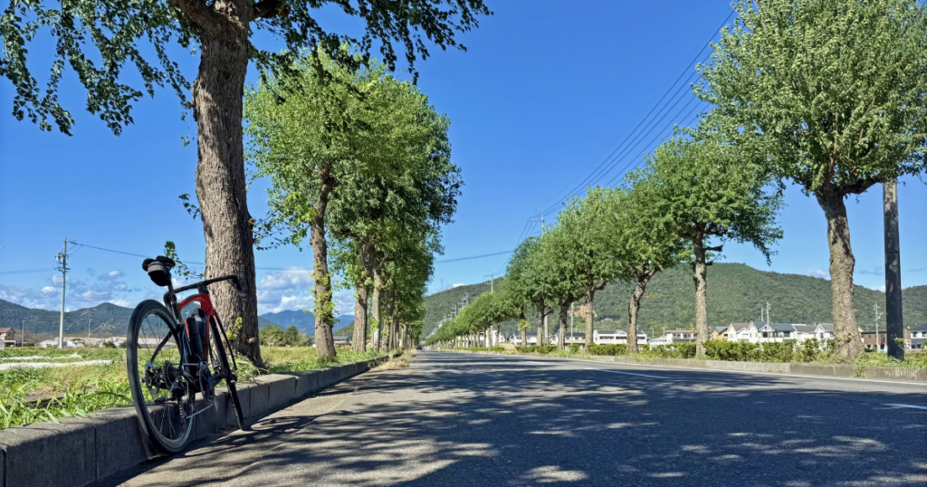 自転車とサイクリング